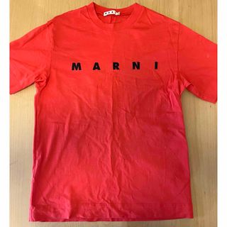 マルニ Tシャツ (10Y)