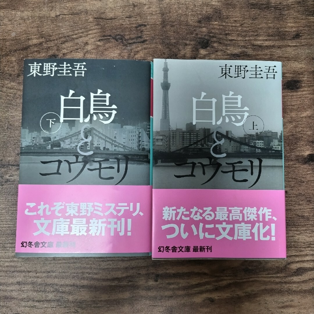 白鳥とコウモリ エンタメ/ホビーの本(文学/小説)の商品写真