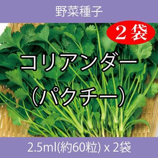 野菜種子 EAB コリアンダー（パクチー） 2.5ml(約60粒) x 2袋(野菜)