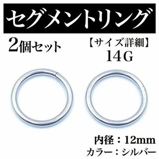 セグメントリング 14G 2本 フープピアス ボディピアス シルバー BP180