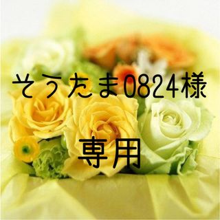 そうたま0824様専用 お米　令和5年　愛媛県産ヒノヒカリ　玄米　30㎏(米/穀物)