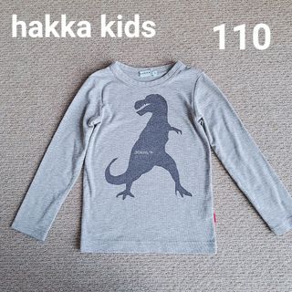 hakka kids - ハッカキッズ  110 カットソー 恐竜