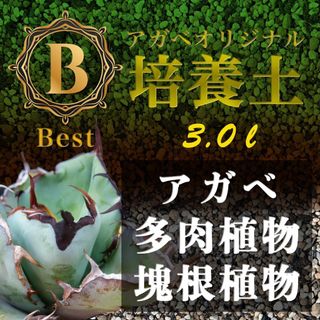 アガベ土☆オリジナル培養土Best3㍑（アガベ・各種サボテン・多肉植物の土）