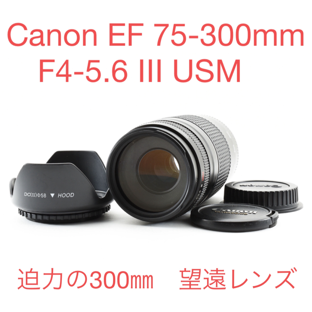3年保証』 EF Canon 75-300mm サンプル写真あり! フルサイズ 3年保証』 EF Canon 75-300mm サンプル写真あり! フルサイズ