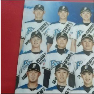 ホッカイドウニホンハムファイターズ(北海道日本ハムファイターズ)の大谷翔平さん　クリアファイル 北海道日本ハムファイターズ(スポーツ選手)