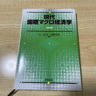 現代国際マクロ経済学(ビジネス/経済)