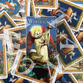 TAROT OF WHITE CATS ホワイトキャッツ　タロットカード　占い(趣味/スポーツ/実用)