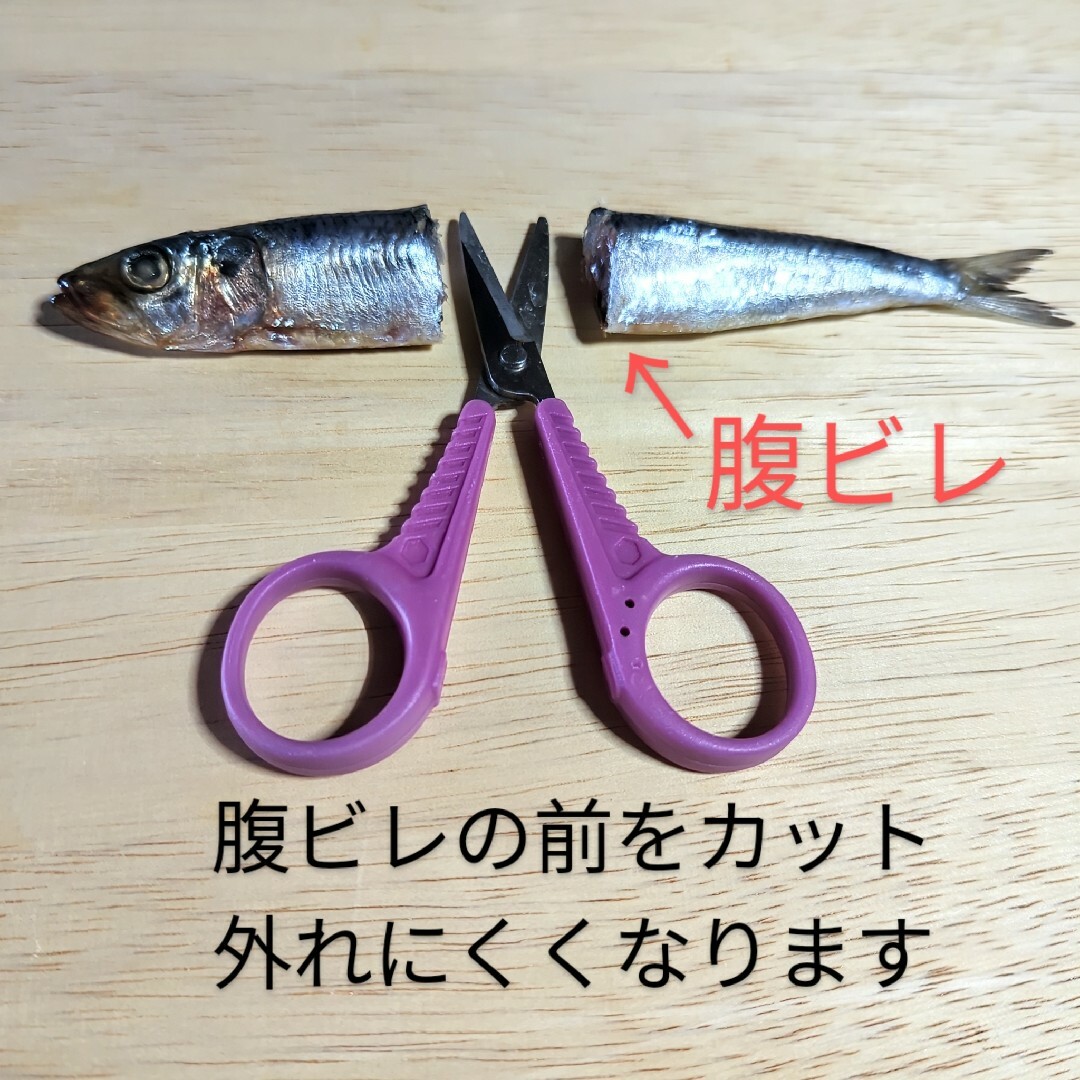 がまかつ(ガマカツ)のえさパッカー60gグロー・冷凍イワシがキビキビ泳いで食い渋る魚に口を使わせます。 スポーツ/アウトドアのフィッシング(ルアー用品)の商品写真