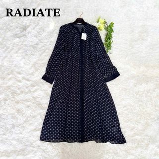 新品 未使用 タグ付きRADIATE YAMADAYA ロングシアーワンピース(ロングワンピース/マキシワンピース)