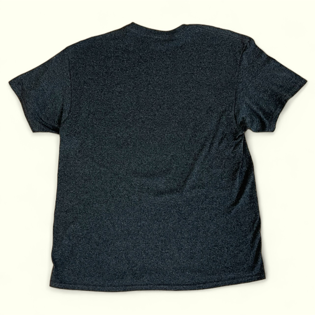 ハリーポッター グリフィンドール クィディッチHarry Potter Tシャツ メンズのトップス(Tシャツ/カットソー(半袖/袖なし))の商品写真