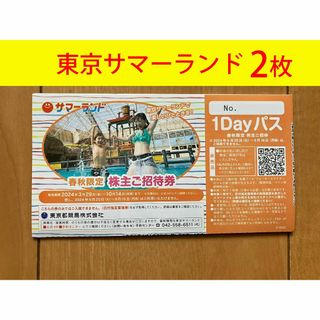 東京都競馬　株主優待券　東京サマーランド　フリーパス　2枚セット　(遊園地/テーマパーク)