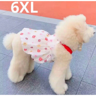 【ペット用】大型犬用　犬服　鮮やか花柄　可愛い　ふわふわドレス　6XL(犬)