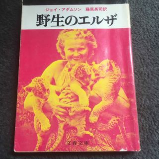 野生ねなエルザ　文庫本(文学/小説)