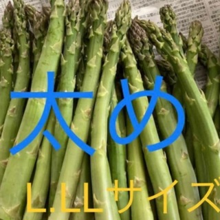 アスパラ　太500g(野菜)