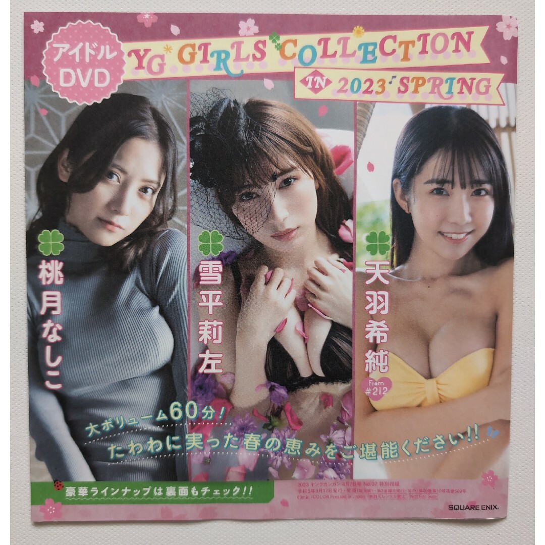 雑誌付録　アイドルDVD　未開封2枚　桃月なしこ　天羽希純　他　ヤングガンガン エンタメ/ホビーのDVD/ブルーレイ(アイドル)の商品写真