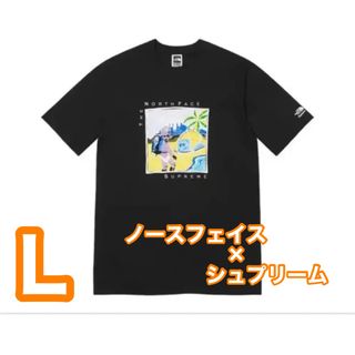 Supreme - ◎ノースフェイス×シュプリーム コラボtシャツ ◎Lサイズ◎