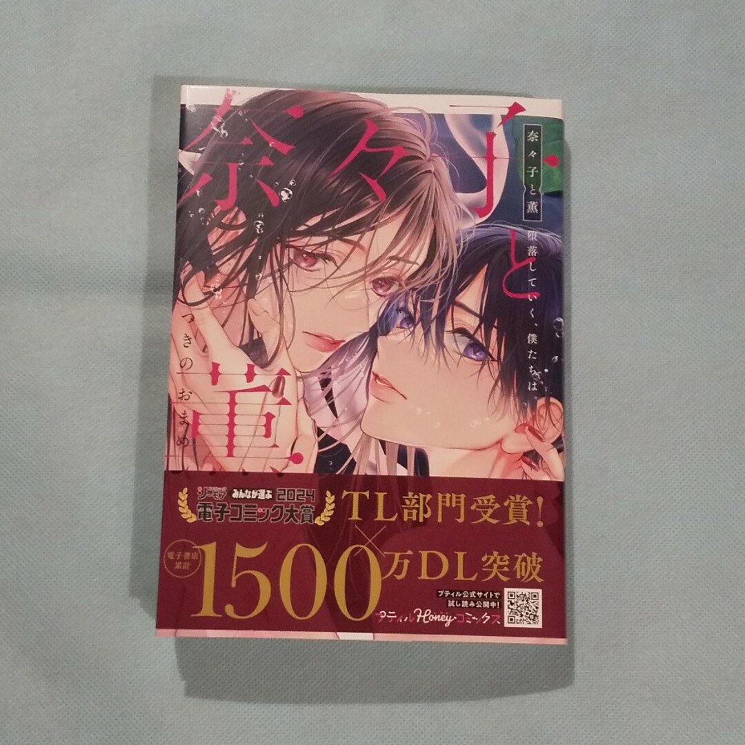 奈々子と薫　堕落していく、僕たちは。 エンタメ/ホビーの漫画(女性漫画)の商品写真