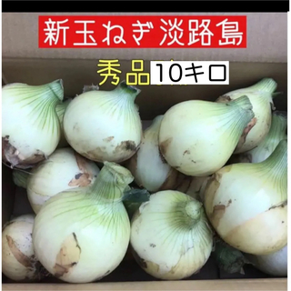 新玉ねぎ淡路島　秀品１０キロ(野菜)