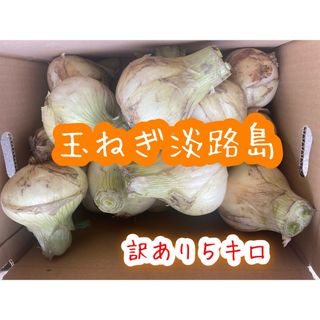 新玉ねぎ淡路島　訳あり５キロ(野菜)