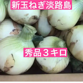 新玉ねぎ淡路島　秀品３キロ(野菜)