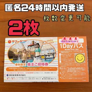 【匿名発送】東京サマーランド無料入場券 東京都競馬 株主優待 春秋用 2枚(遊園地/テーマパーク)