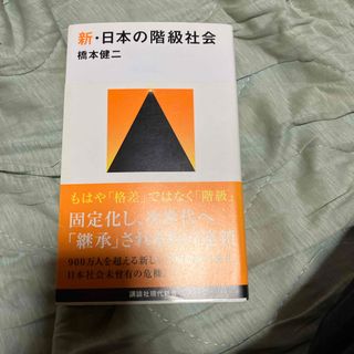 新・日本の階級社会(その他)