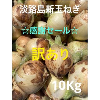 ✴︎訳あり10Kg✴︎淡路島新玉ねぎ　たまねぎ　玉葱(野菜)