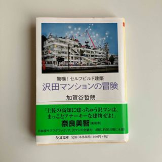 沢田マンションの冒険(その他)