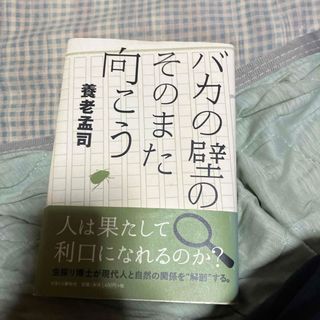 バカの壁のそのまた向こう(文学/小説)