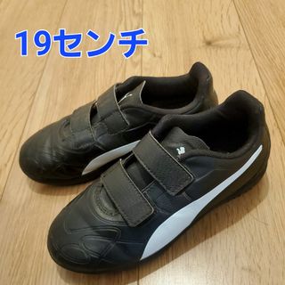 PUMA - 19センチ　サッカー　トレシュー　ジュニア　プーマ