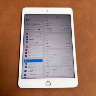 7419 美品 iPad mini5 第5世代 256GB SIMフリー