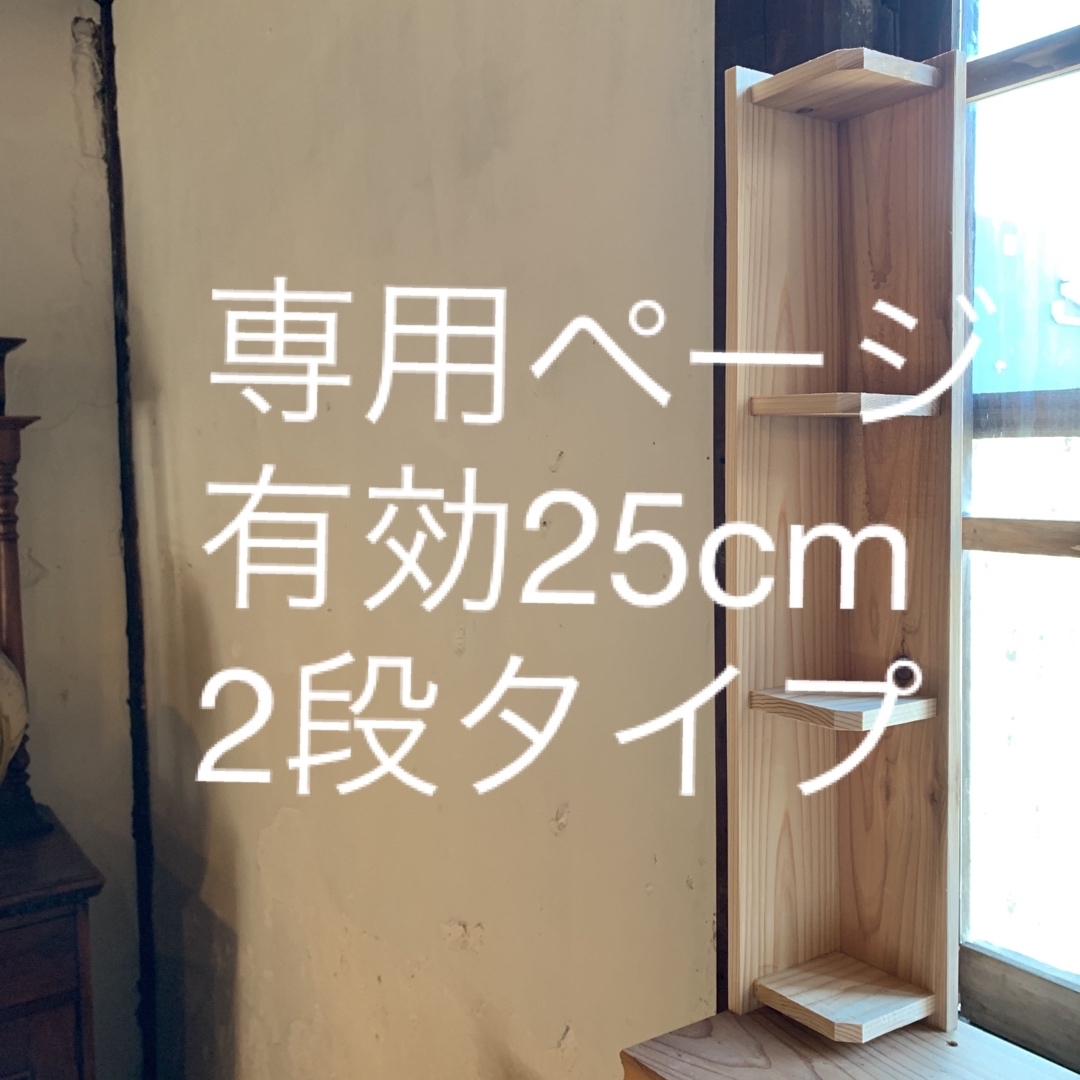 専用　有効25cm2段タイプ長さ約53cm インテリア/住まい/日用品の収納家具(キッチン収納)の商品写真