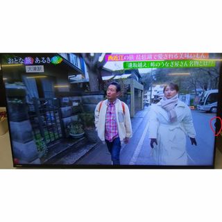 確認用(テレビ)