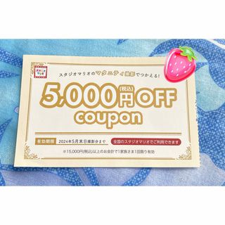 スタジオマリオ マタニティ撮影 5000円offクーポン(その他)