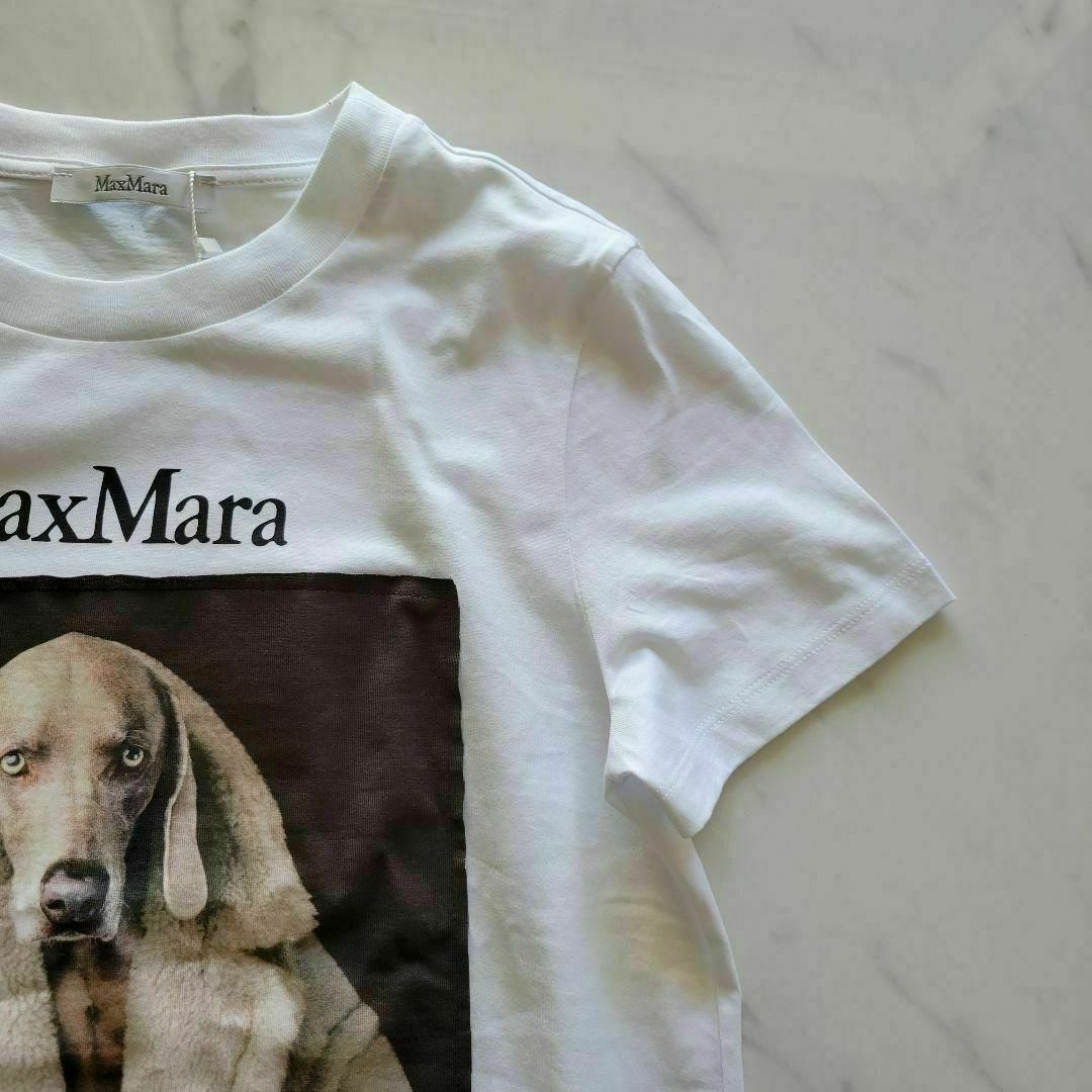 ★新品未使用★Max Mara ウェグマンプリント Tシャツ サイズ多数 S レディースのトップス(Tシャツ(半袖/袖なし))の商品写真