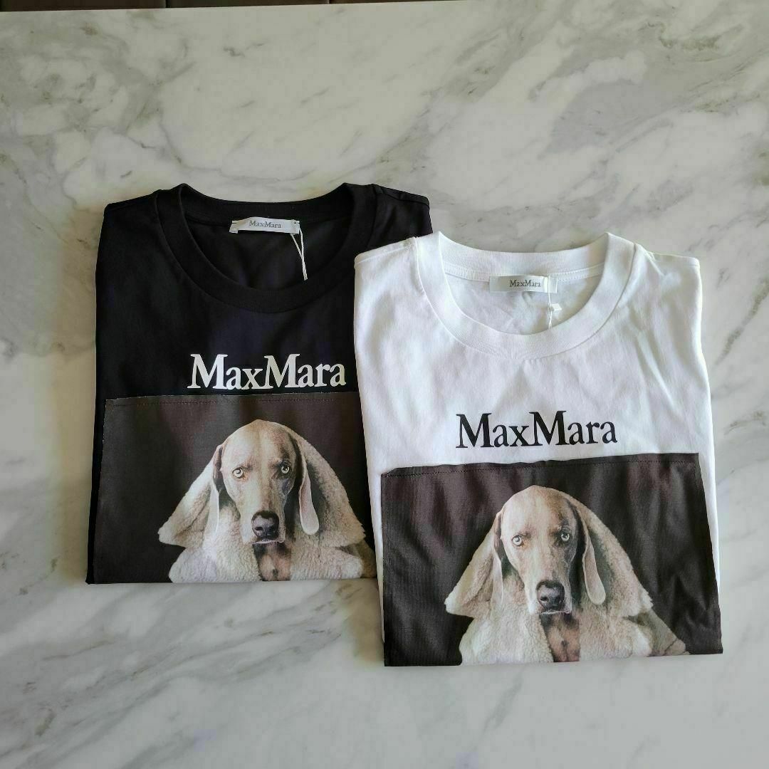 ★新品未使用★Max Mara ウェグマンプリント Tシャツ サイズ多数 S レディースのトップス(Tシャツ(半袖/袖なし))の商品写真