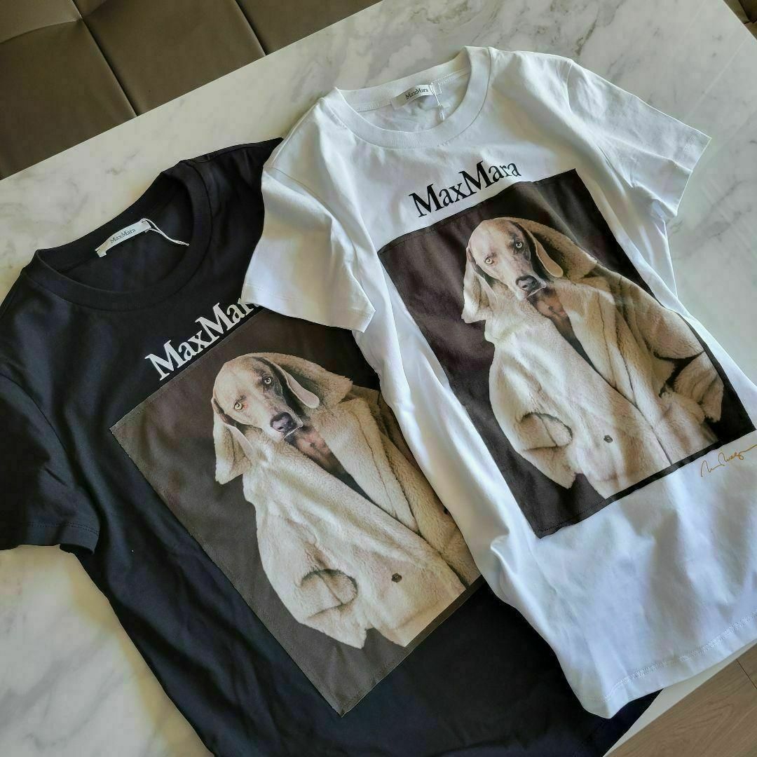 ★新品未使用★Max Mara ウェグマンプリント Tシャツ サイズ多数 S レディースのトップス(Tシャツ(半袖/袖なし))の商品写真