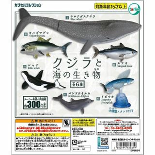 クジラと海の生き物★全6種　新品(その他)