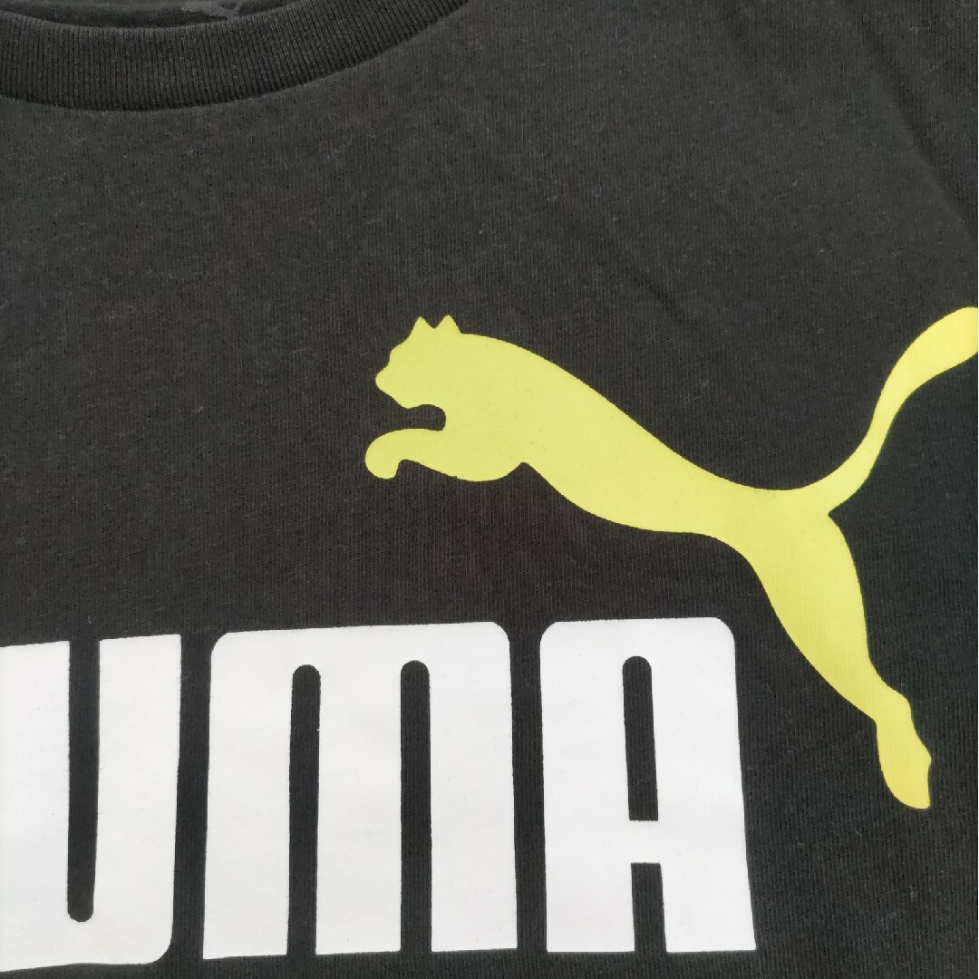 PUMA(プーマ)のPUMA Tシャツ １５０ キッズ/ベビー/マタニティのキッズ服男の子用(90cm~)(Tシャツ/カットソー)の商品写真