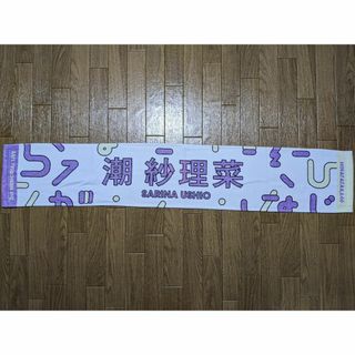 日向坂46 3回目のひな誕祭 潮紗理菜 推しメンタオル(アイドルグッズ)