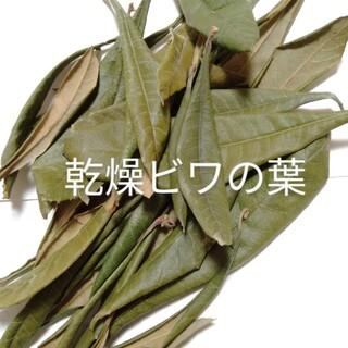 乾燥　ビワの葉　20g　匿名配送　枇杷の葉　びわの葉　琵琶　ビワ(その他)