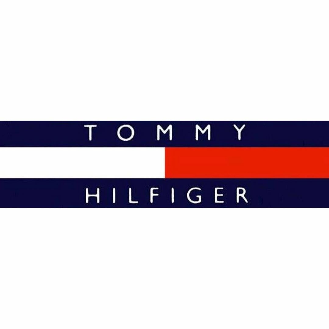 TOMMY HILFIGER(トミーヒルフィガー)のTommy HILFIGER半袖ポロシャツ (ピンク／紺ボーダー柄)☆Lサイズ メンズのトップス(ポロシャツ)の商品写真