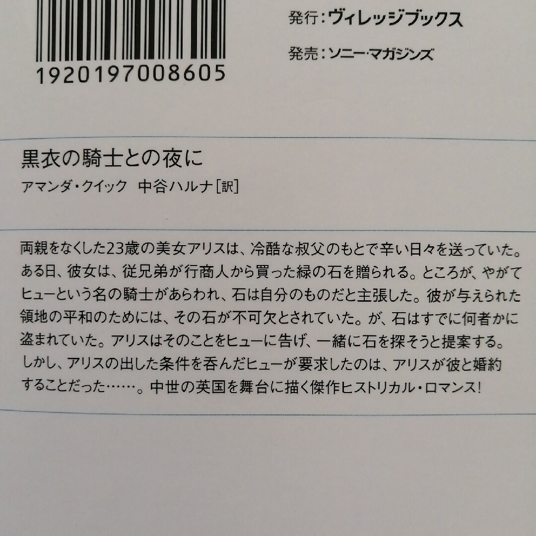 黒衣の騎士との夜に エンタメ/ホビーの本(文学/小説)の商品写真