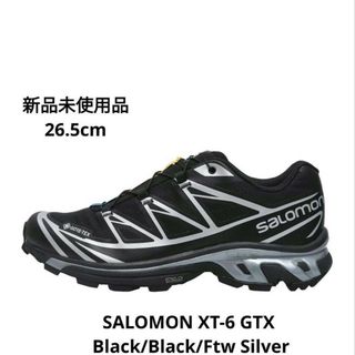 サロモン(SALOMON)のSALOMON XT-6 GTX Black/Black/Ftw Silver(スニーカー)