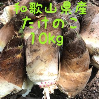 和歌山県産たけのこ　約10kg (野菜)