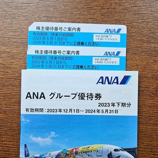 エーエヌエー(ゼンニッポンクウユ)(ANA(全日本空輸))のANA株主優待券 2 枚セット(その他)
