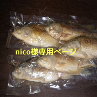 nico様専用ページ(犬)