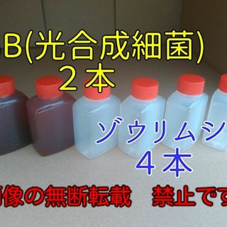 めだかの餌(２種類)　３３ml ×６本　#PSB　 #めだか#ミジンコ#針子#餌(アクアリウム)