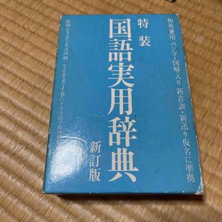 特装 国語実用辞典  新訂版(語学/参考書)