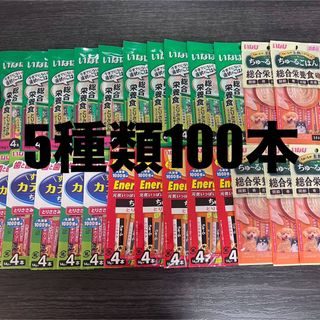 イナバペットフード(いなばペットフード)の犬　いなば　ちゅーる　国産品　5種類 100本(犬)